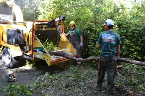 tree services Turlock